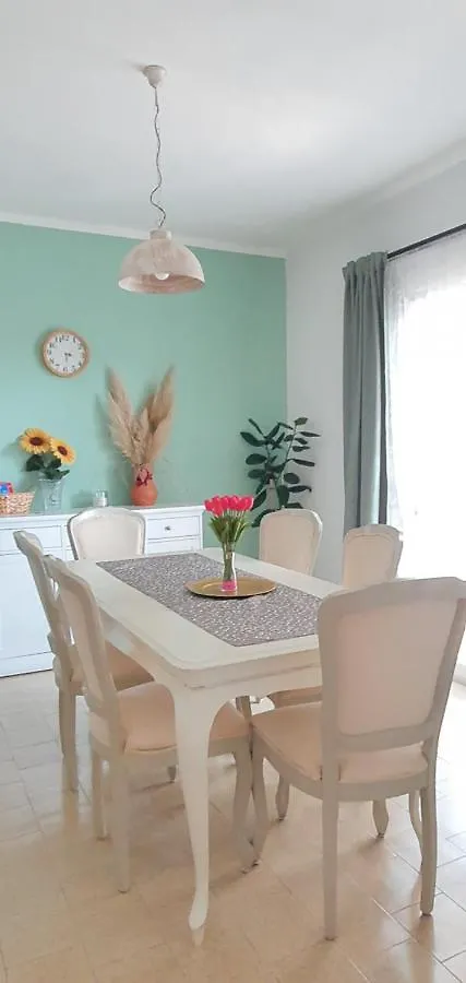 Holiday Apartment Arman Vizinada Croatia